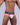 Mens Athlete Mini Briefs Private Structure BAUT4388 - Private Structure_BAUT4388_Red Falcon_S - 27