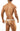 Joe Snyder Thong White Lace Back View