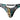 Thong - Mens Go Wild Thong with 2 Rings Male Power 439 - 295 - S/M - Multi Animal - Male Power_439 - 295_Multi Animal_S/M - Male Power - 4