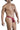 Mens Lace Thongs CandyMan 99823 - S/M - Wine - CandyMan_99823_Wine_S/M - 4