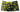 Trunk - Mens Petal Power Pouch Short Male Power 145 - 285 - S - Daisy Print - Male Power_145 - 285_Daisy Print_S - Male Power - 5